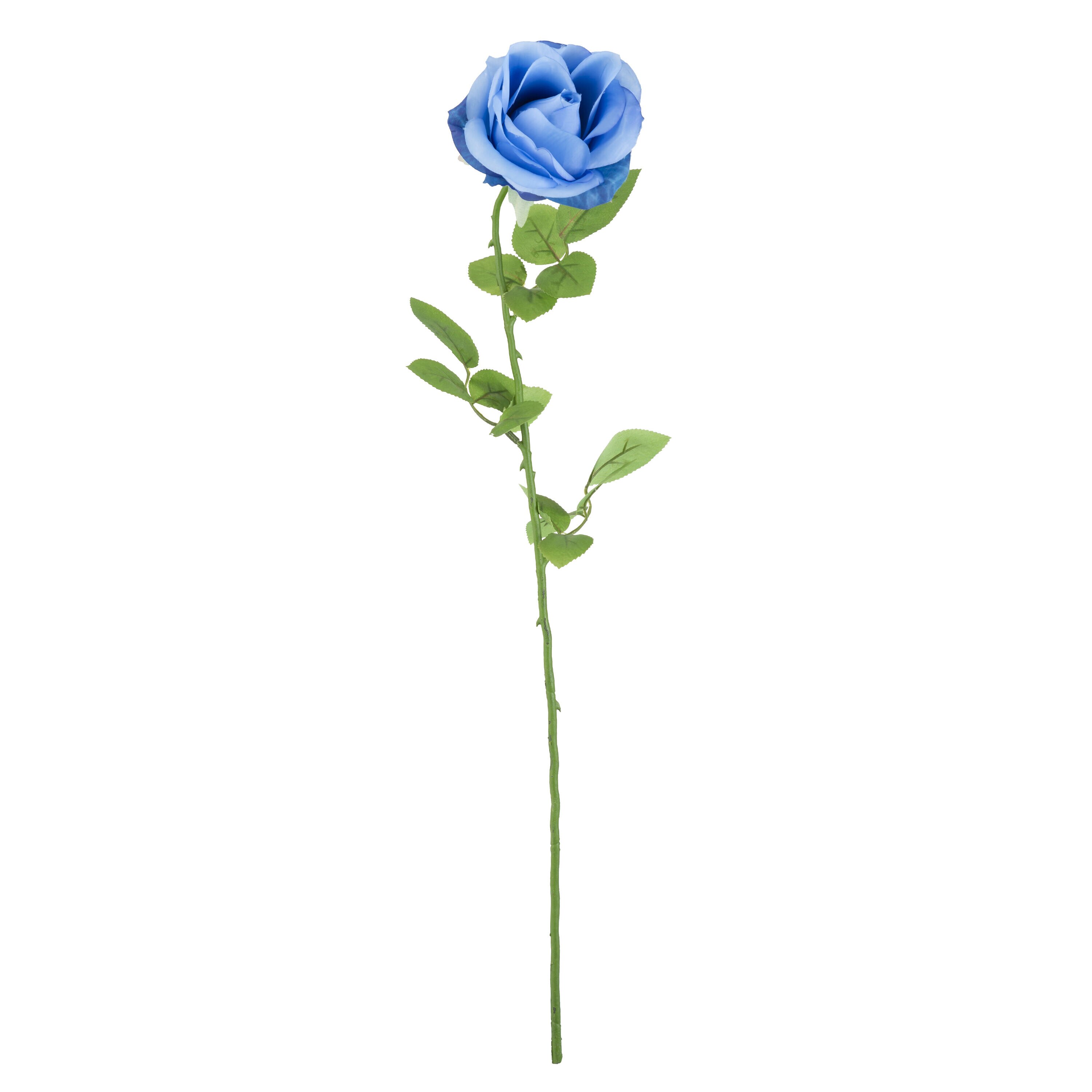 27 Blue Confetti Rose Stem by Bloom Room
