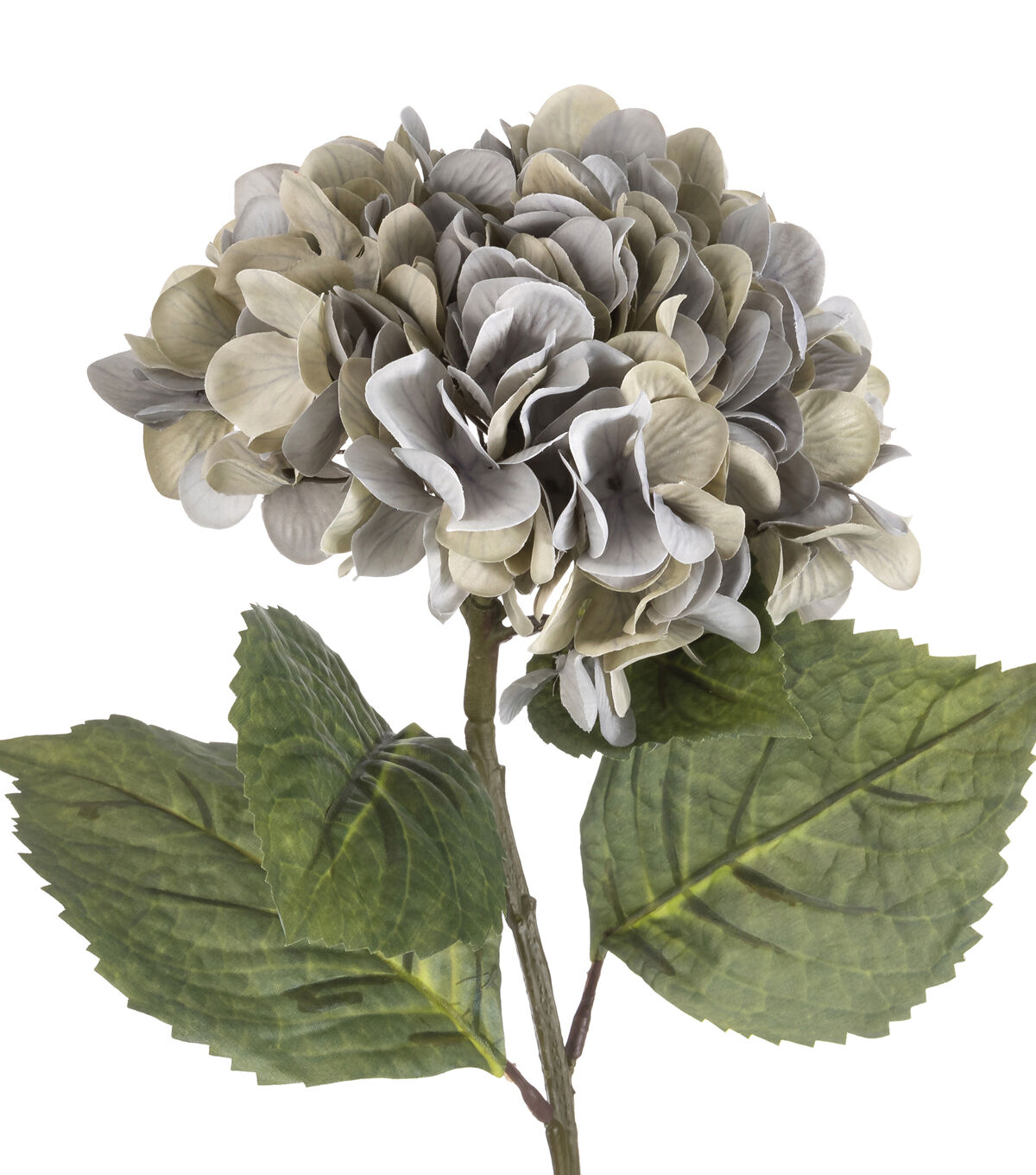 28.5 Gray Hydrangea Stem by Bloom Room