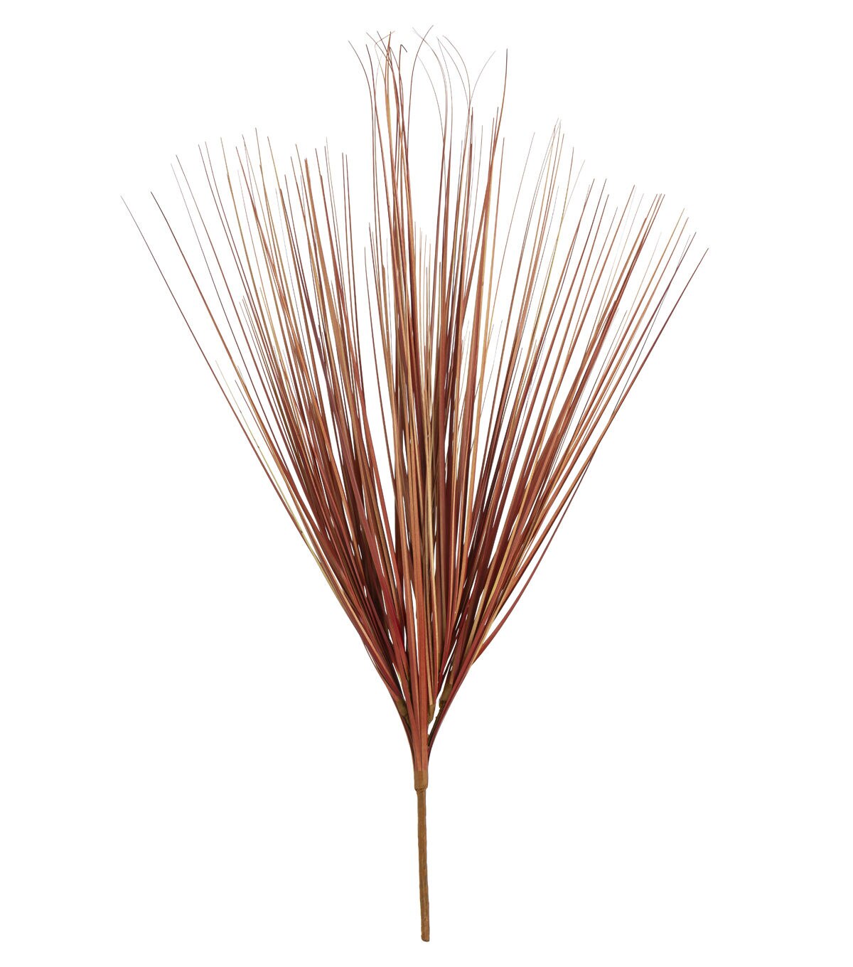 28 Red Onion Grass Bush by Bloom Room