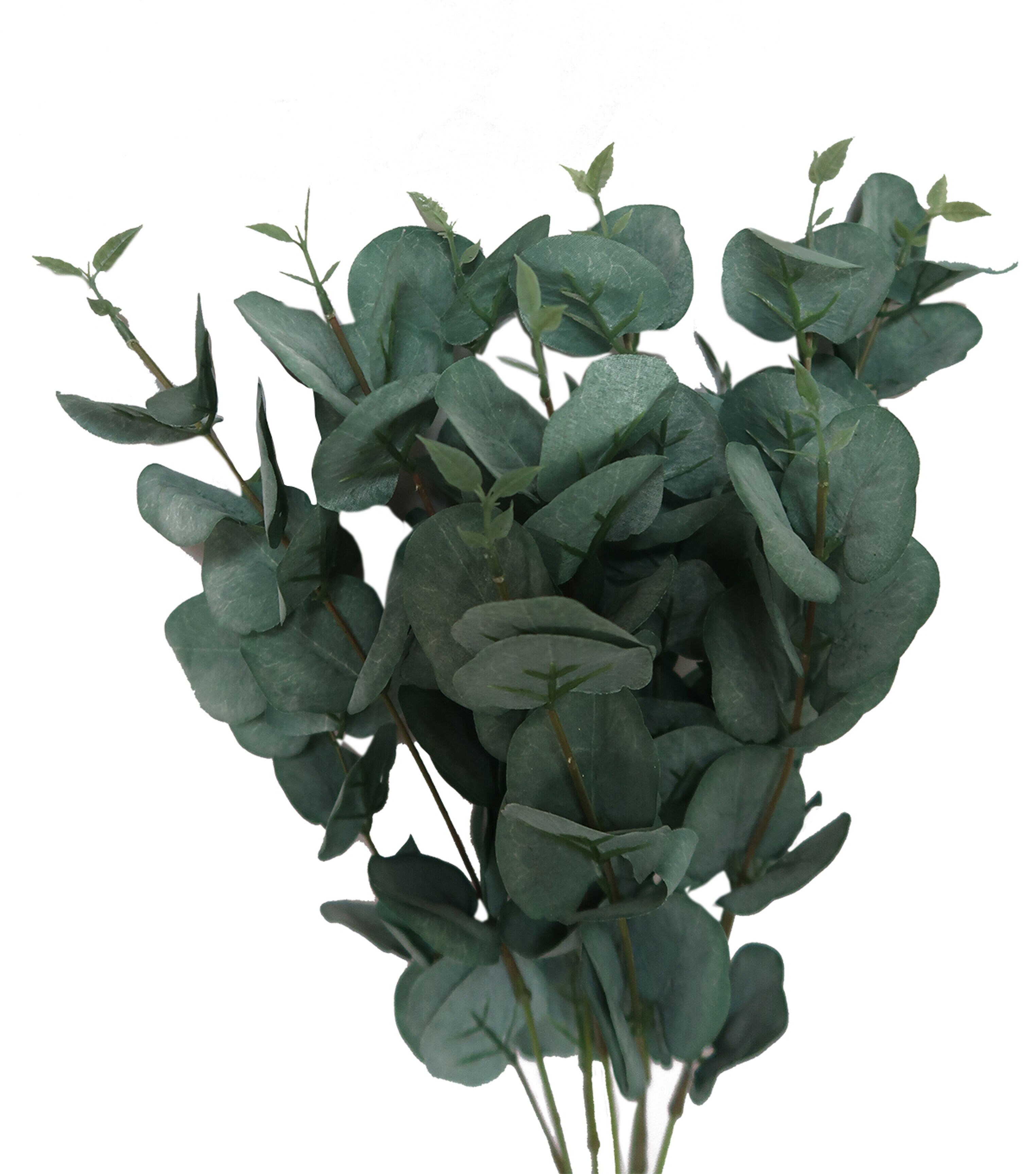 22 Eucalyptus Bush by Bloom Room