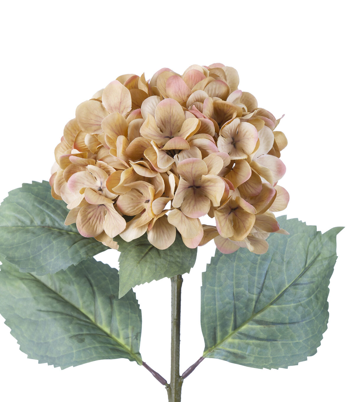 28.5 Toast Hydrangea Stem by Bloom Room