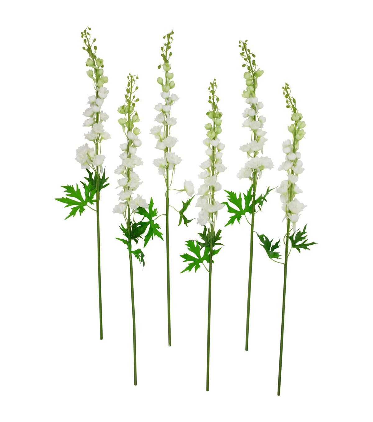Northlight 40 White Delphinium Stems 6ct