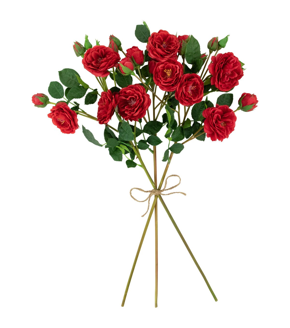 Northlight 23 Red Camellia Rose Stems 6ct