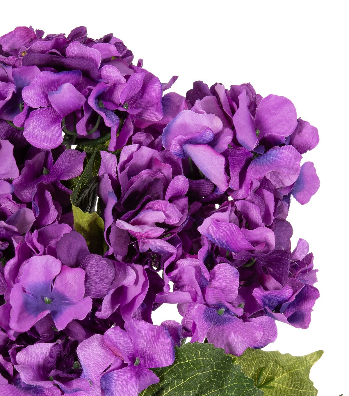 22 Dark Purple Hydrangea Bush by Bloom Room