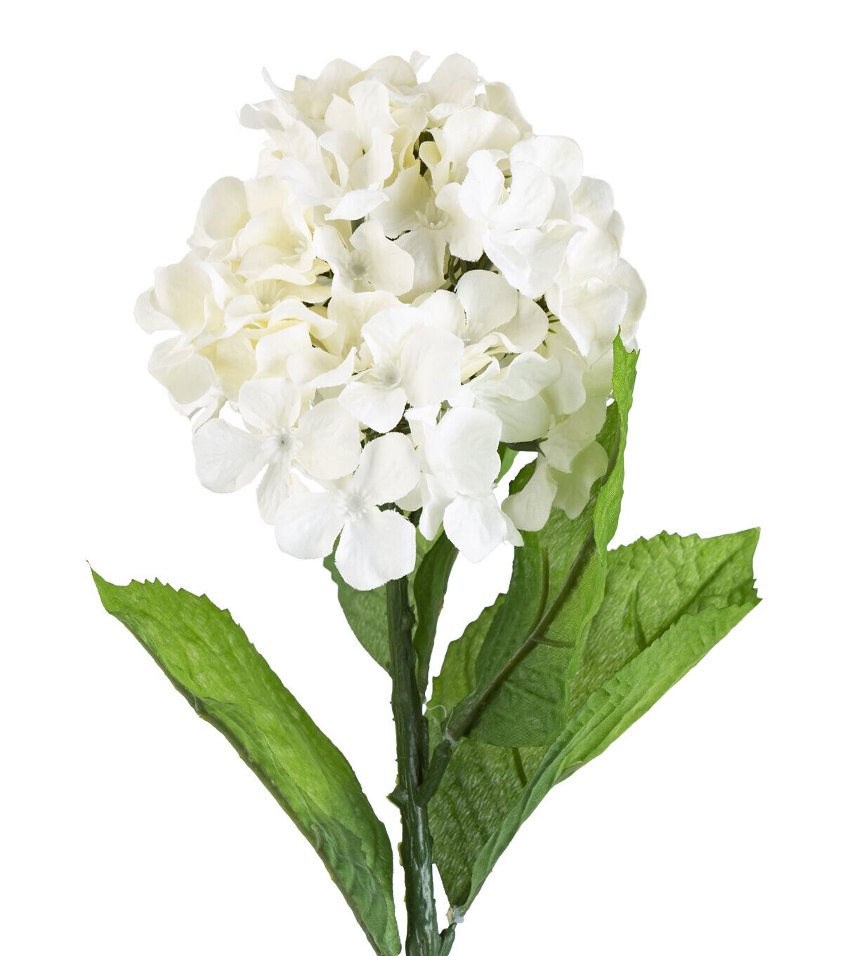 27 White Hydrangea Stem by Bloom Room