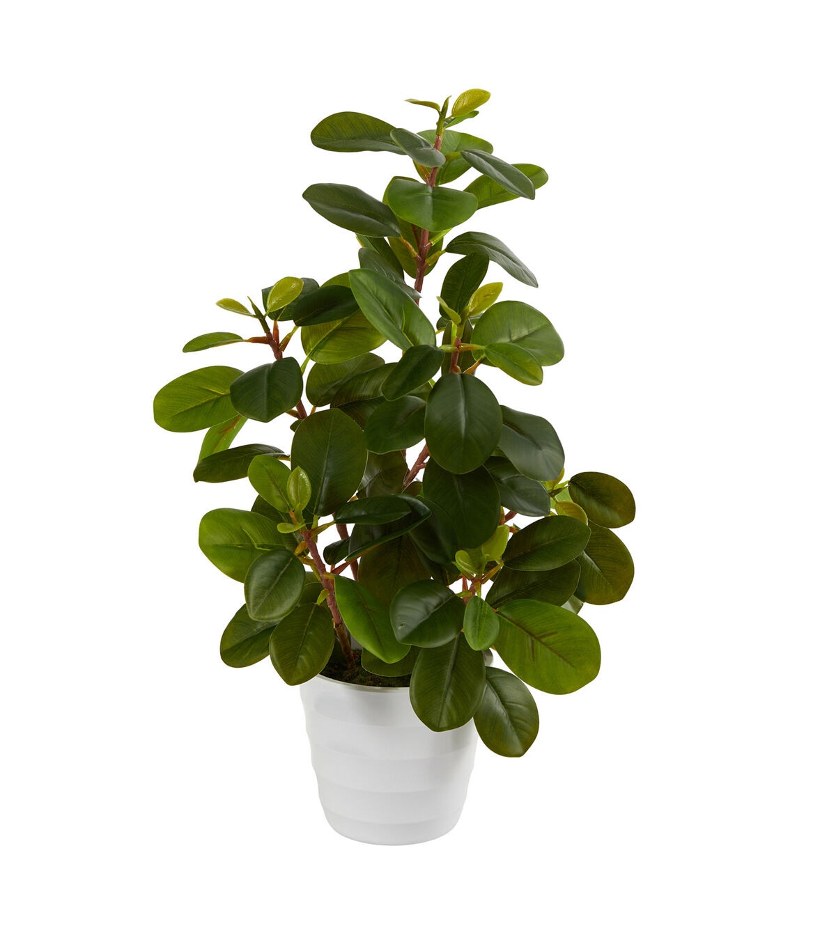 Nearly Natural 16 Artificial Peperomia Plant in White Planter