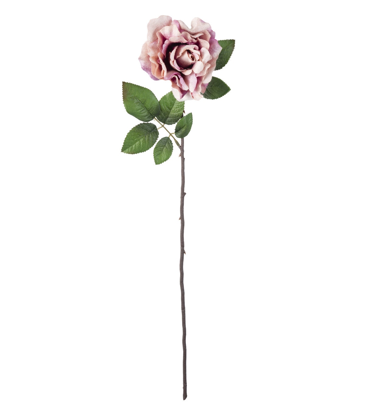 27 Mauve Velvet Rose Stem by Bloom Room