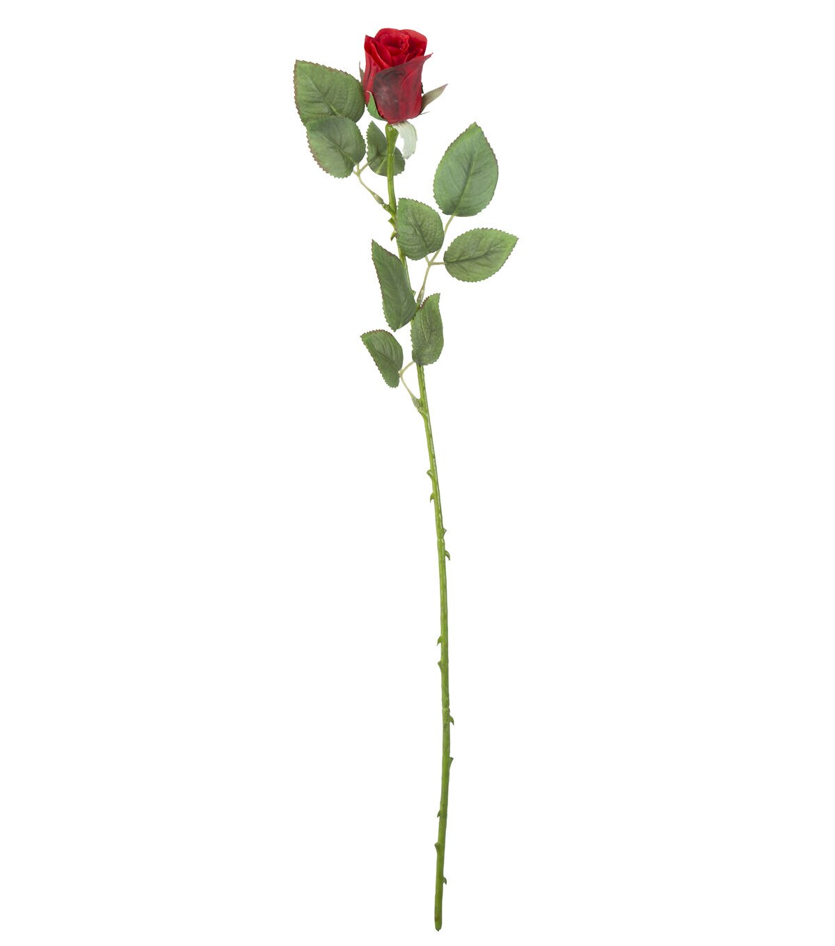 24.5 Red Rose Bud Stem by Bloom Room