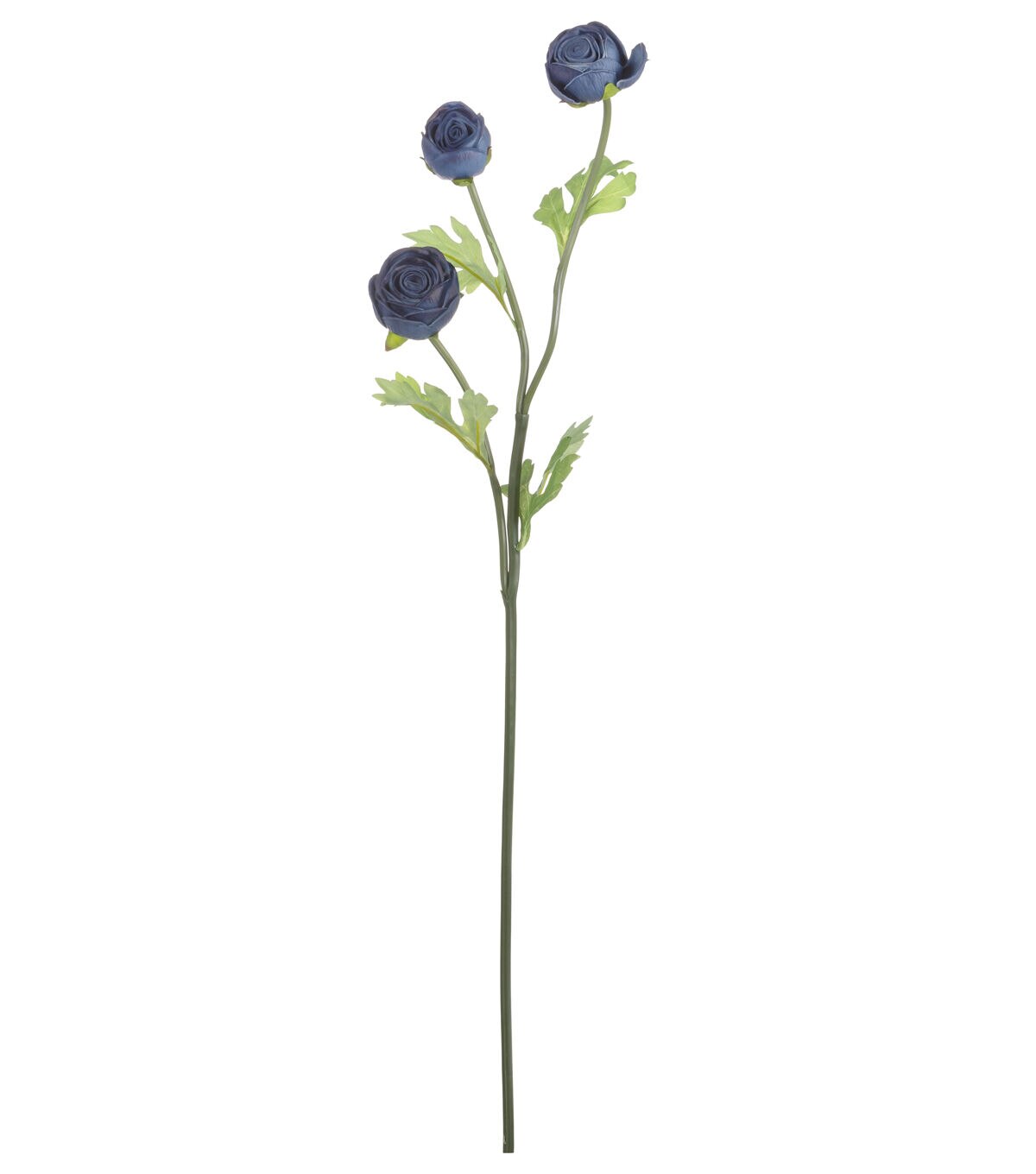 24.5 Blue Ranunculus Stem by Bloom Room