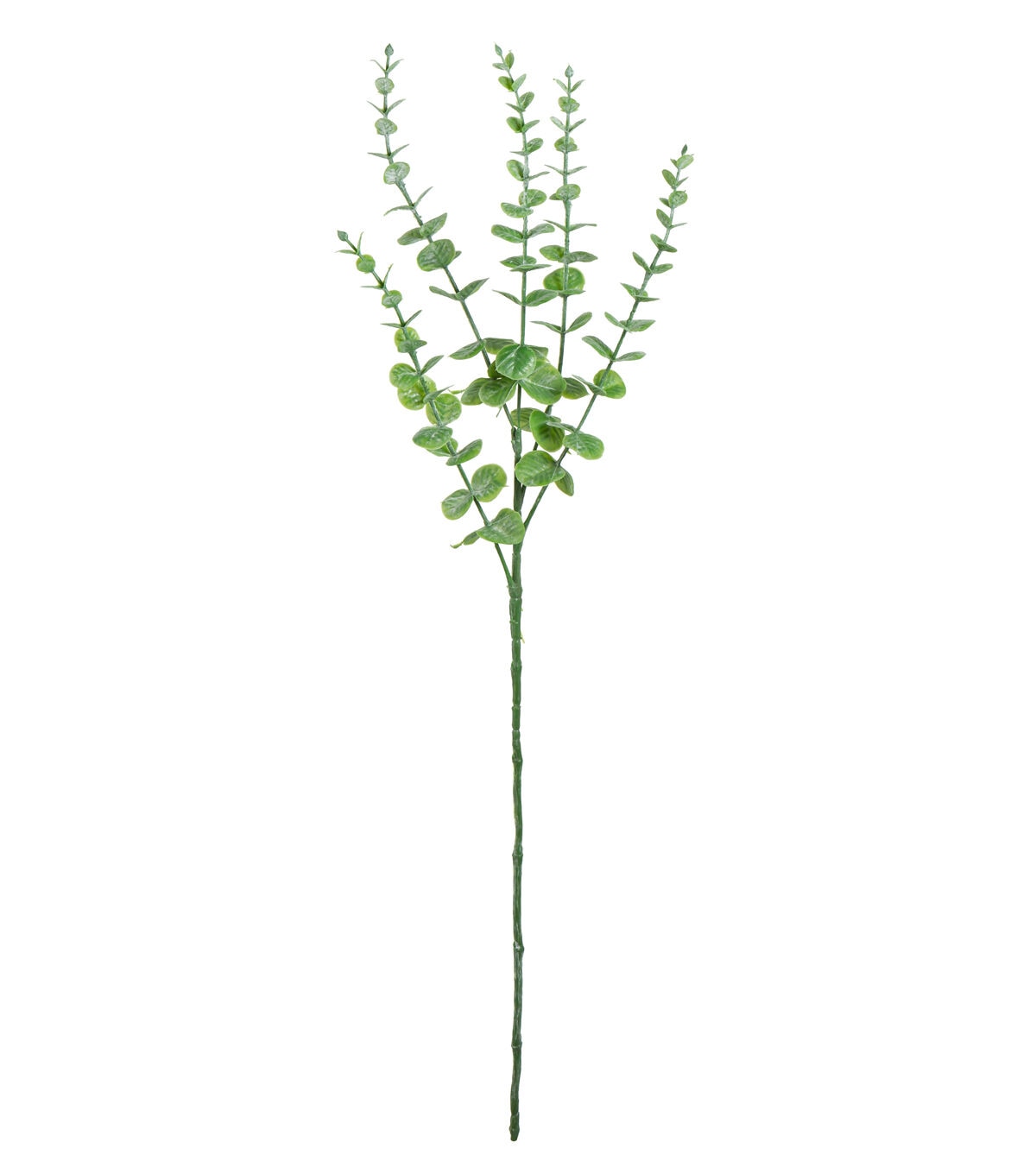 28 Green Eucalyptus Stem by Bloom Room