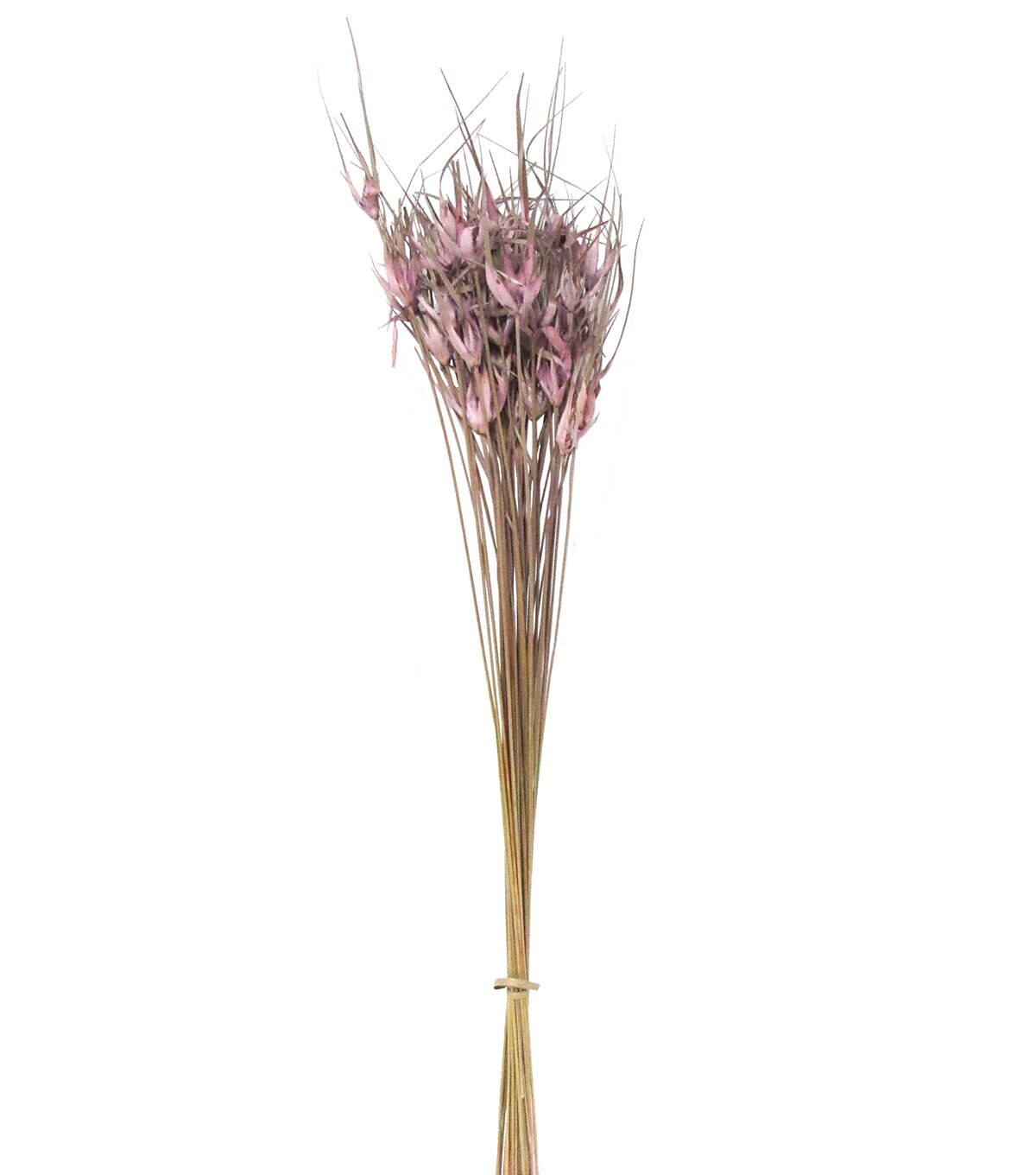 28 Lavender Dried Star Grass Bouquet by Bloom Room