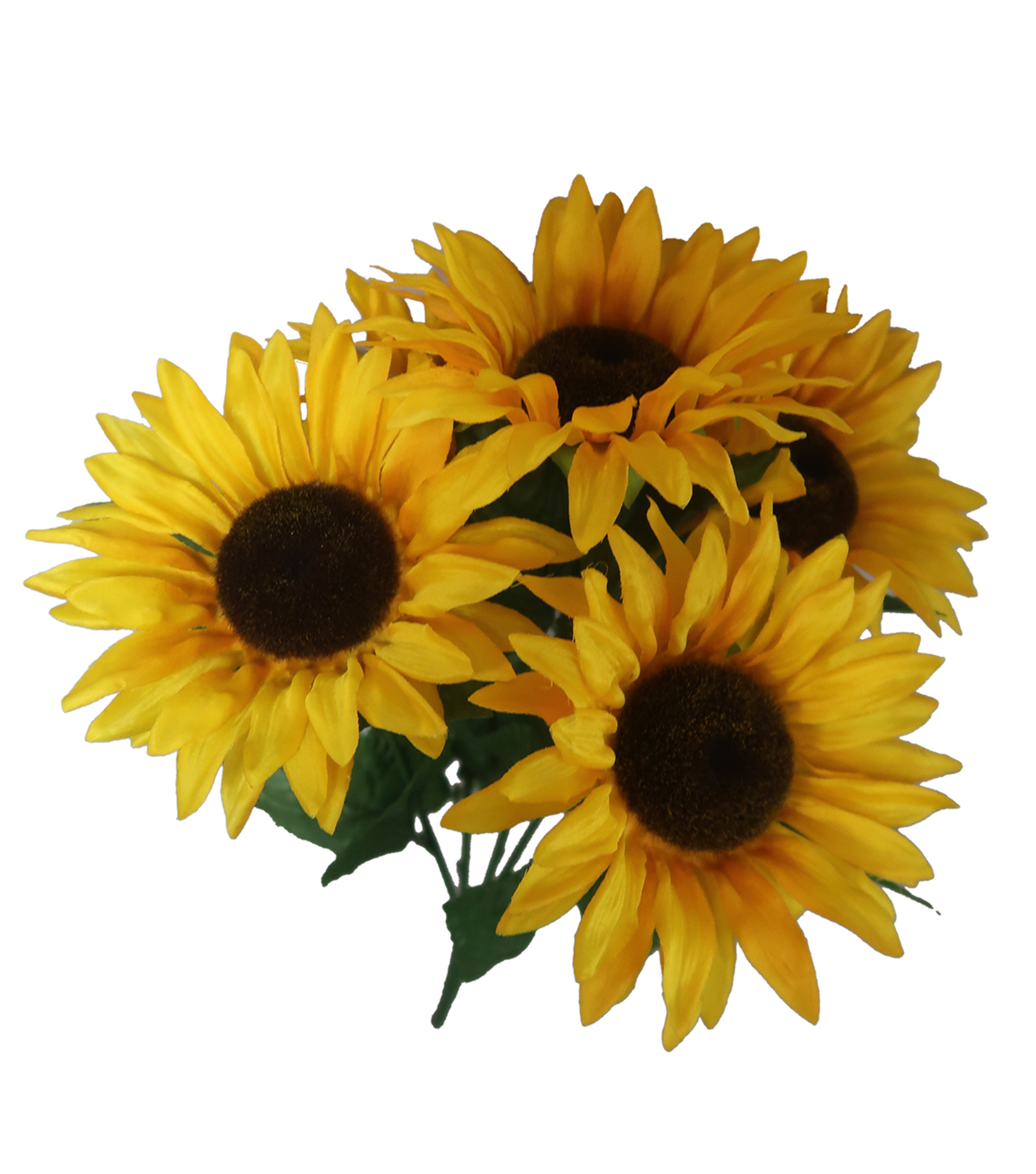 20 Yellow Sunflower Bush by Bloom Room