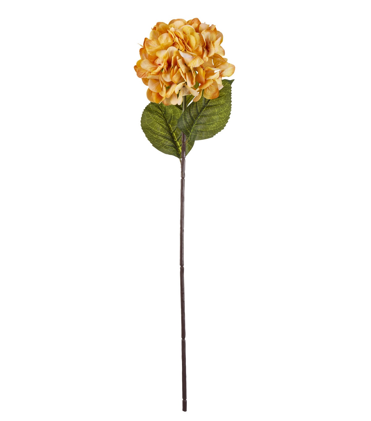 32 Honey Gold Hydrangea Stem by Bloom Room