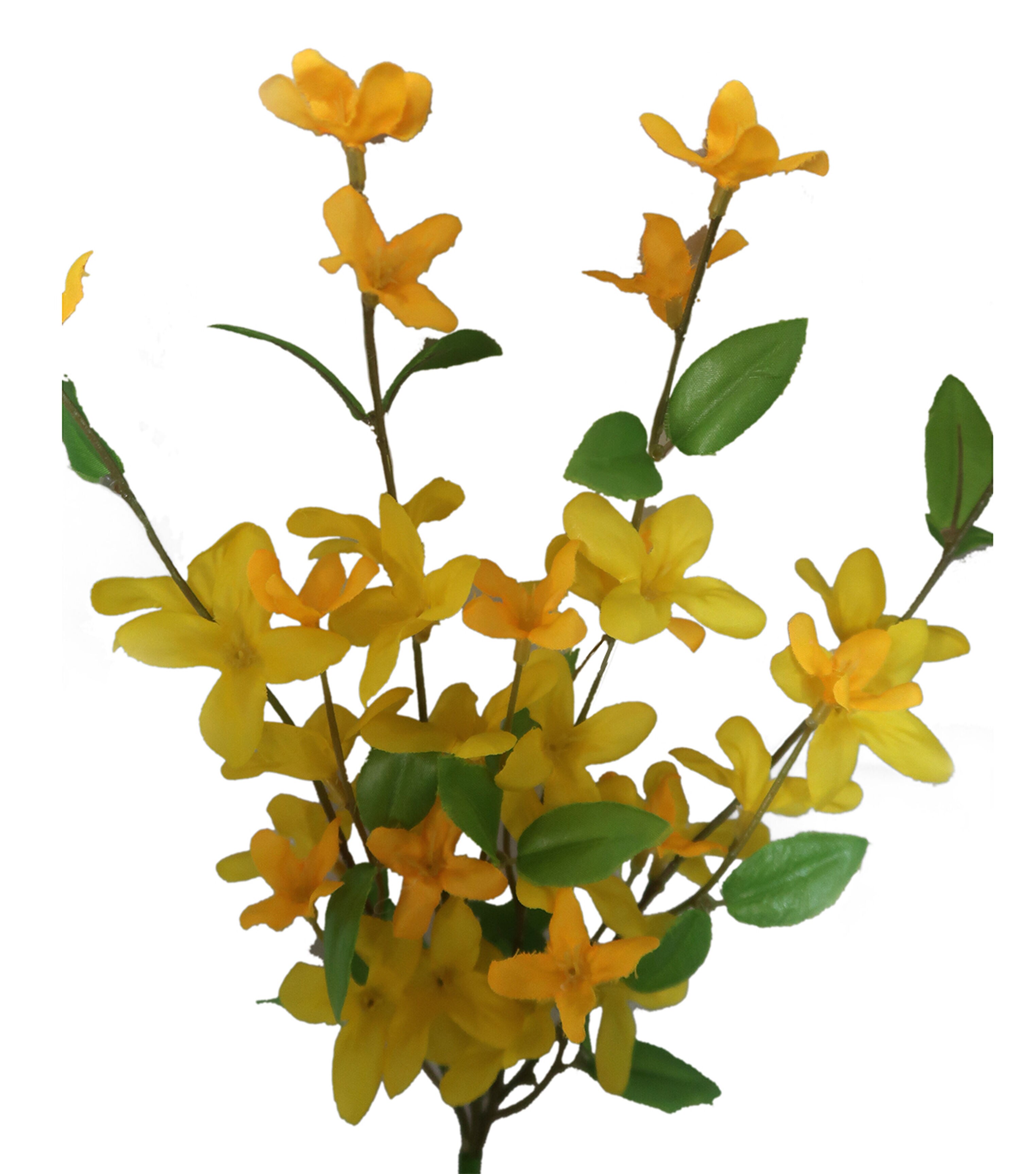 13 Yellow Forsythia Pick by Bloom Room