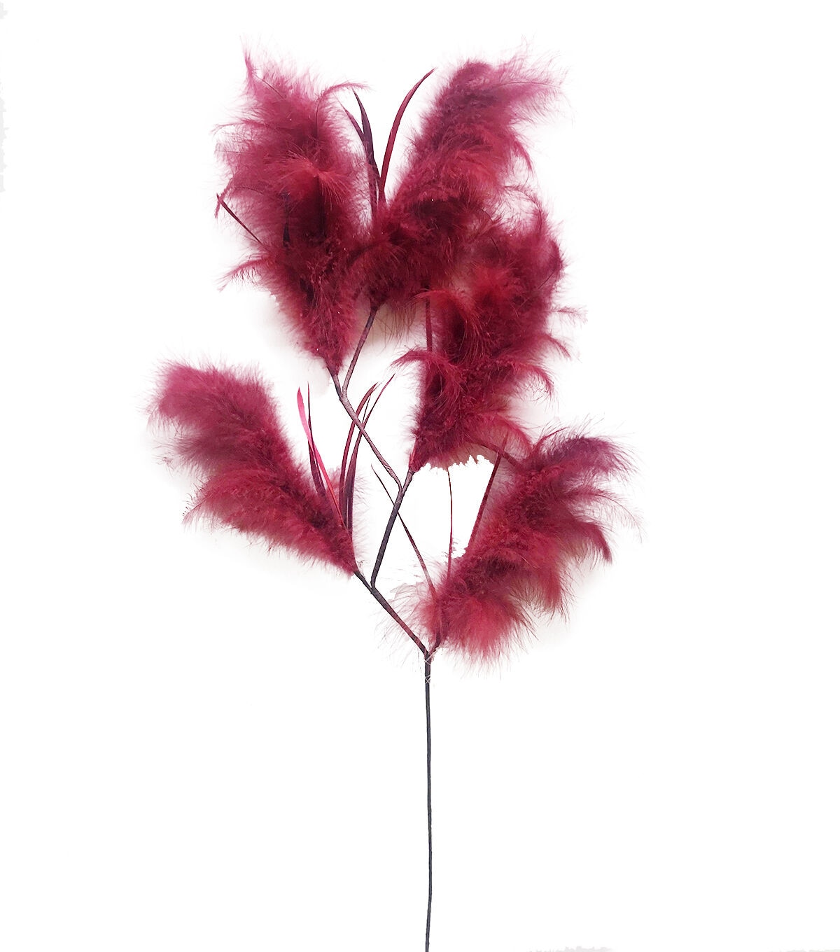 33.5 Burgundy Feather Stem by Bloom Room