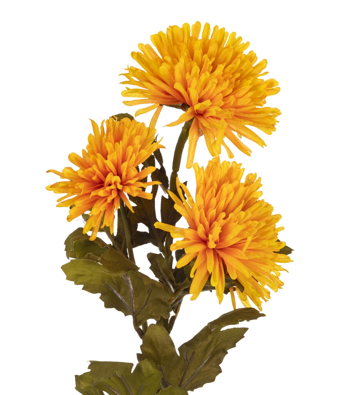 26 Deep Yellow Mum Stem by Bloom Room