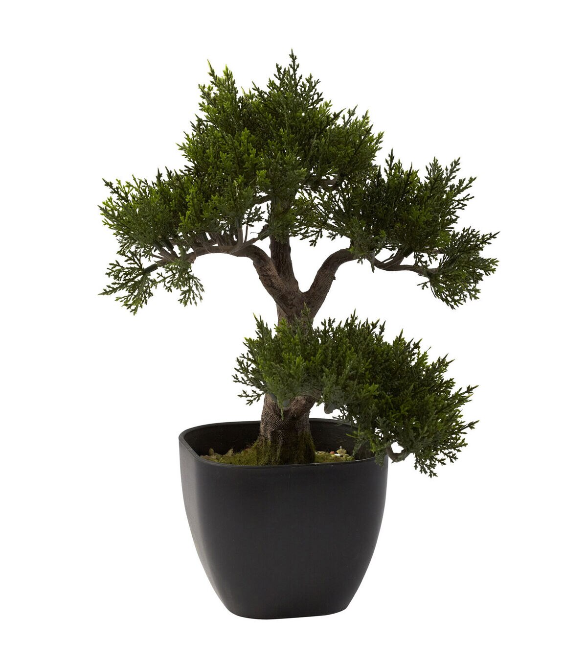 Nearly Natural 15 Cedar Bonsai in Black Planter