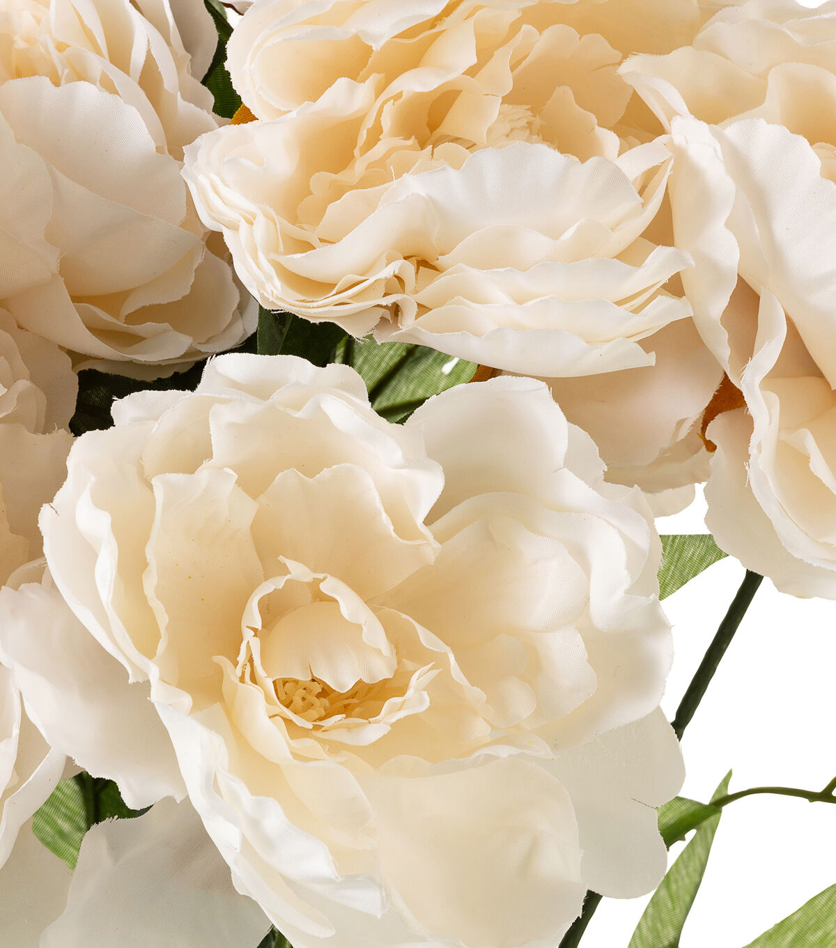 20 White Peony Bush by Bloom Room