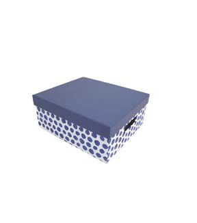 11 Blue Dots Rectangle Box With Cut Out Handles by Place & Time