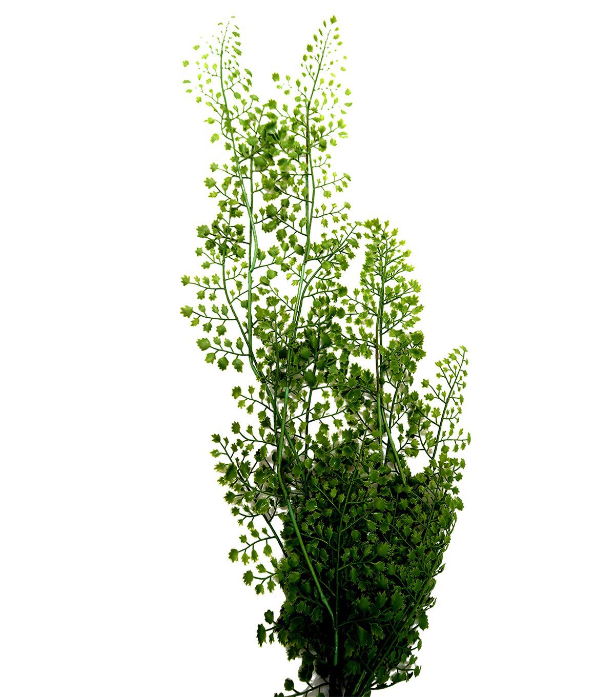 33 Hanging Maidenhair Fern Bush by Bloom Room