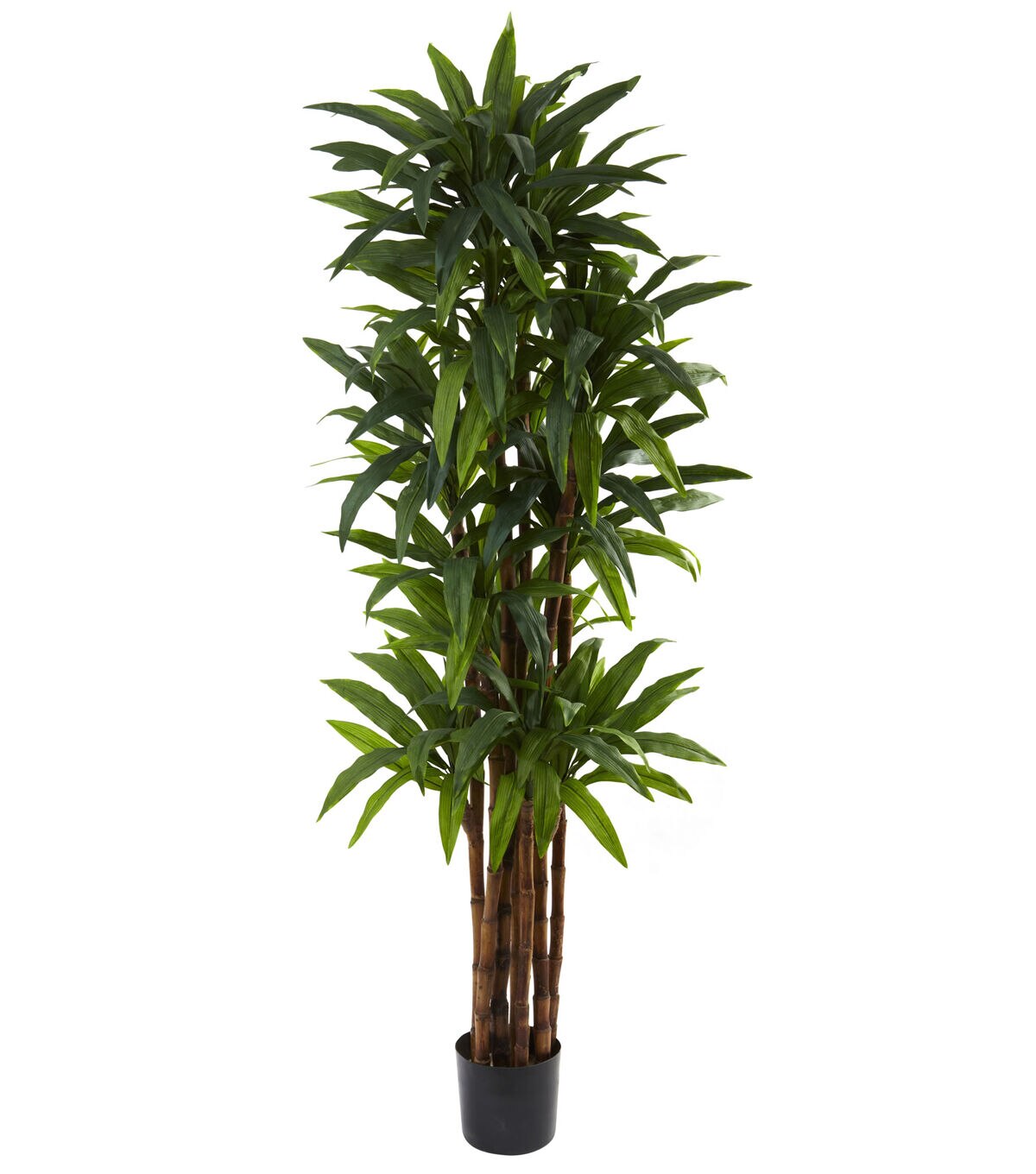 Nearly Natural 6.5ft. Dracaena Tree