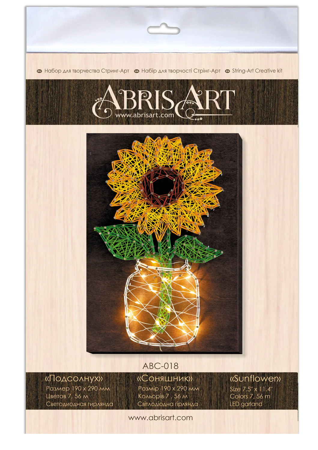 String Art Creative DIY Kit 