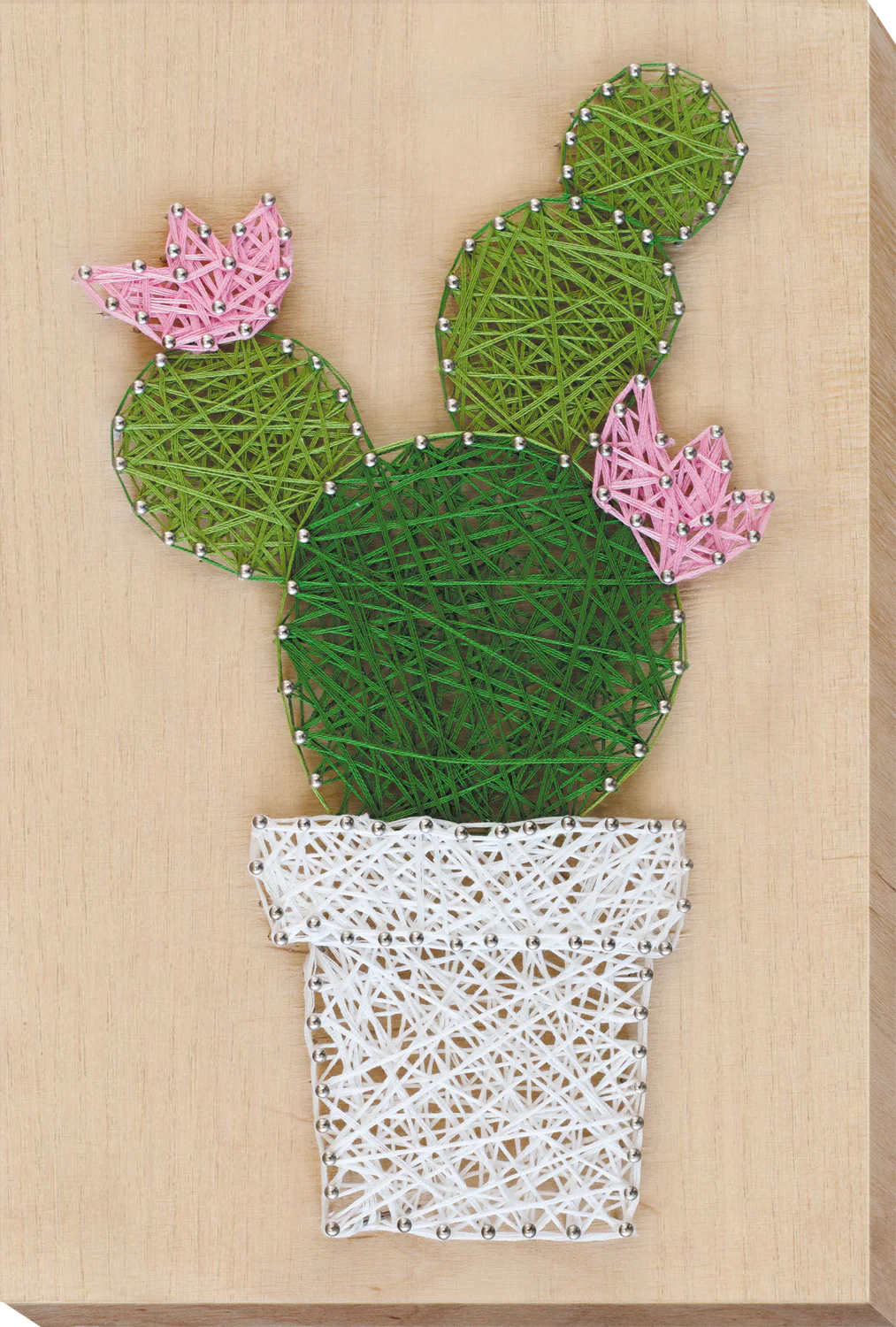 String Art Creative DIY Kit 